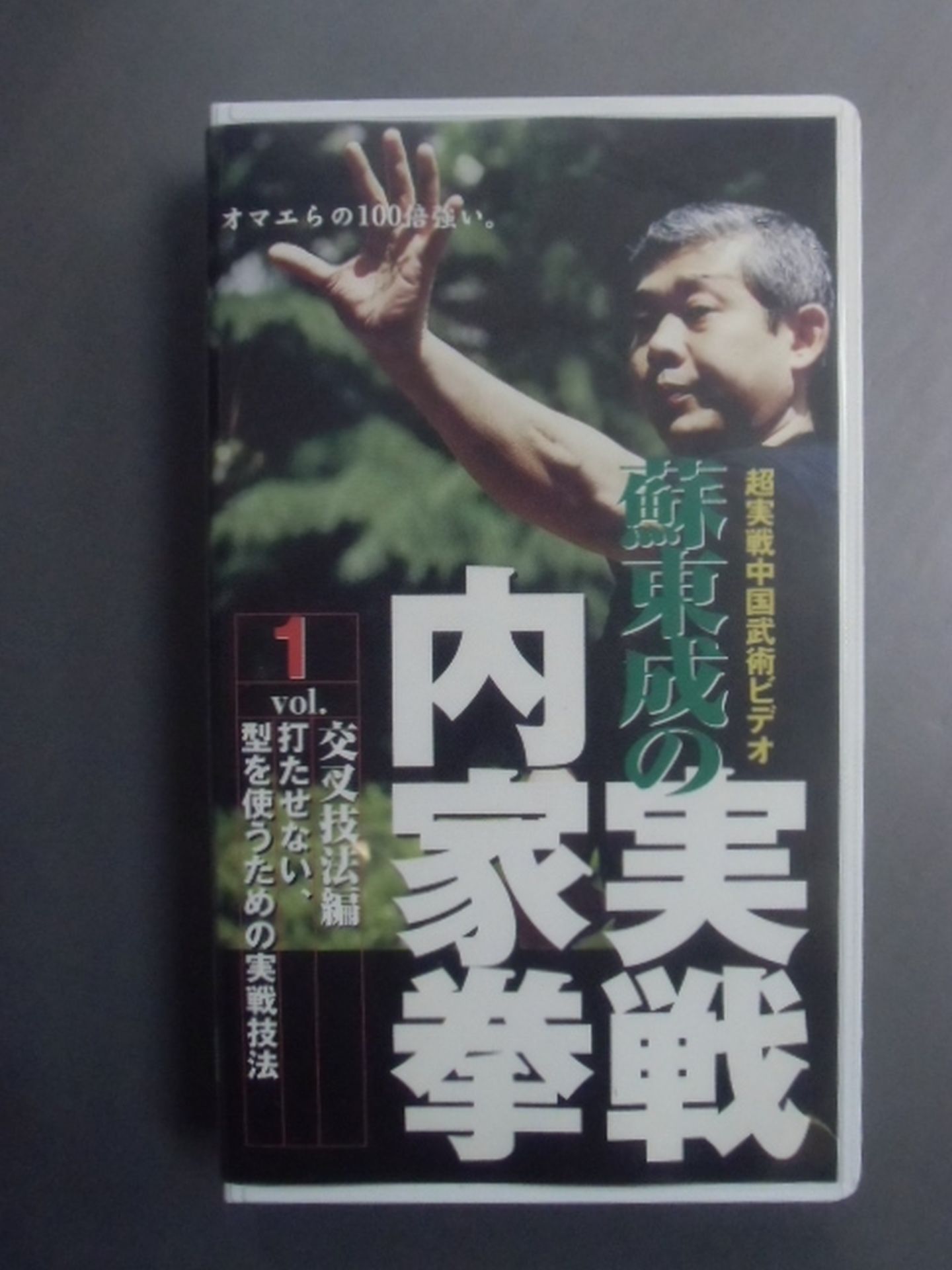 蘇東成の実戦内家拳 Vol.1交叉技法編 打たせない､型を使うための実戦技法
