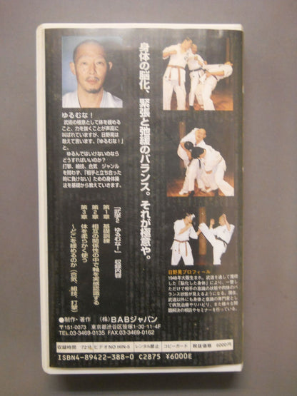 日野晃の武学2 打撃、組技、合気 ジャンルを超えた身体操法の極意。