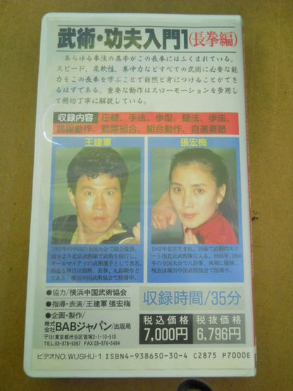 Introduction to Martial Arts and Gongfu 1 Long Fist Edition Chinese Champion Wang Jianjun, Zhang Honghai / Instructor / Presentation