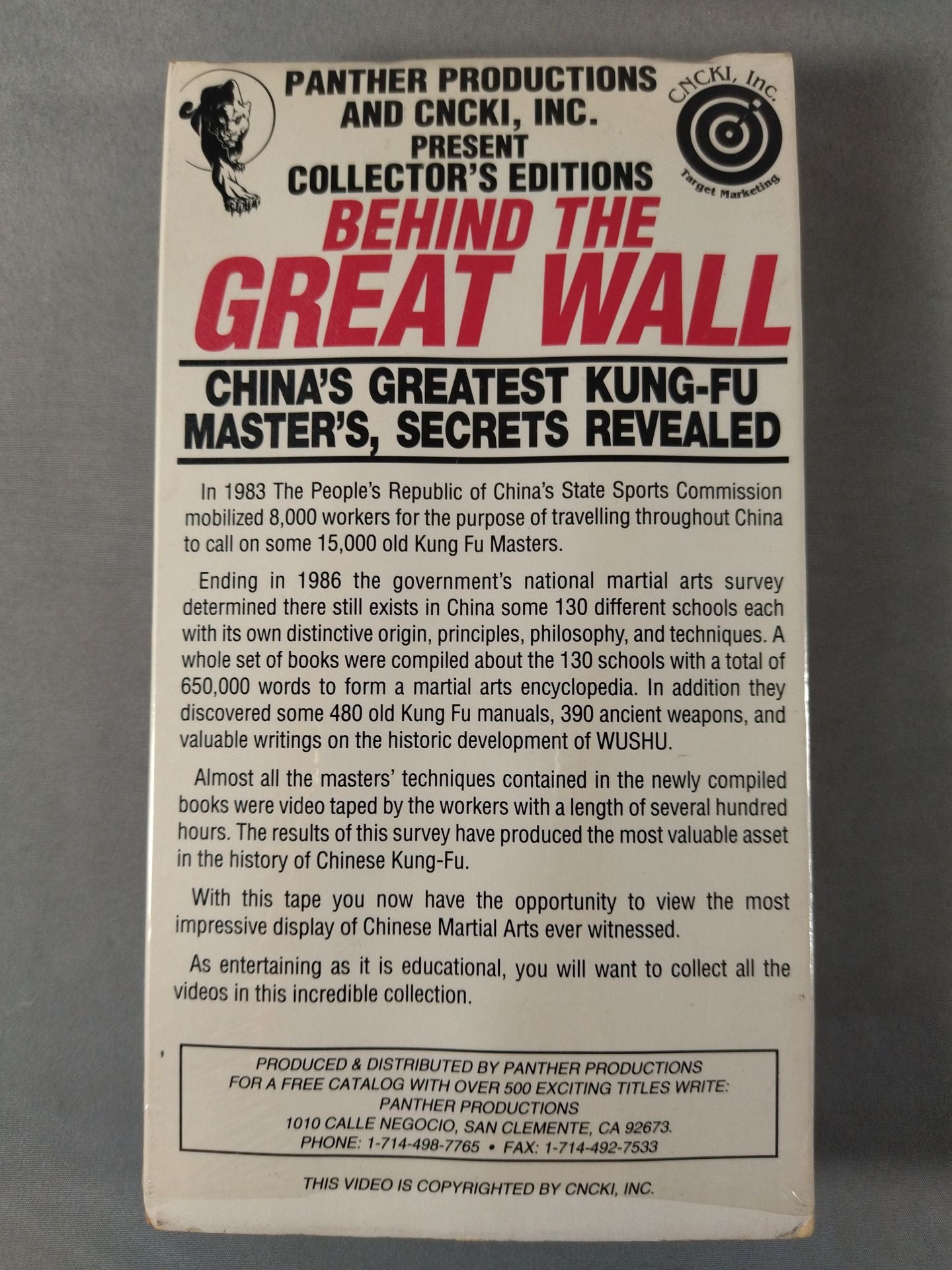 BEHIND THE GREAT WALL CHINAS GREATEST KUNG-FU MASTERS