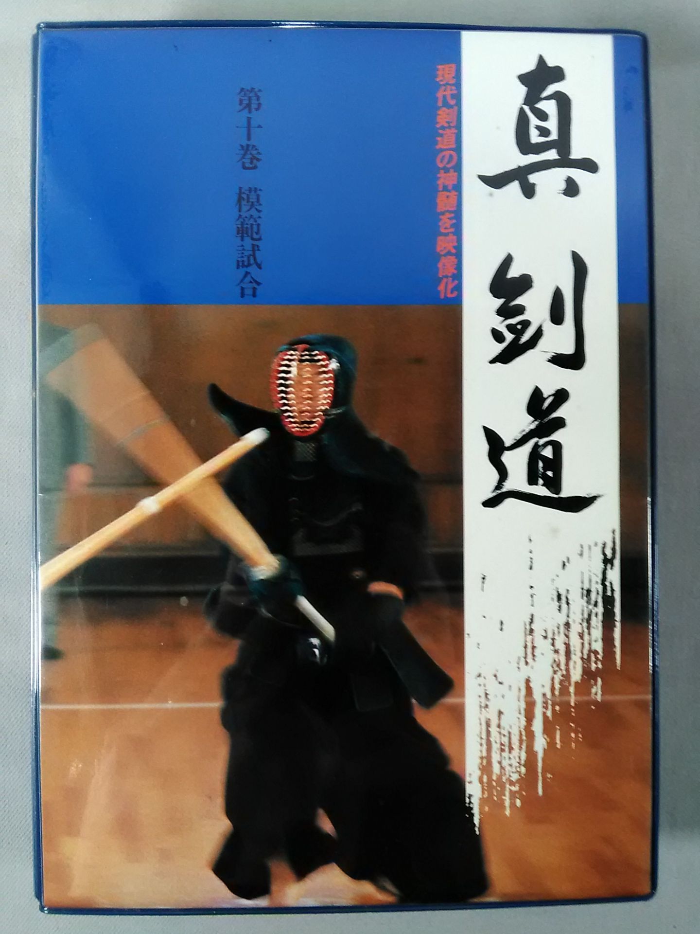 真・剣道 第十巻 模範試合