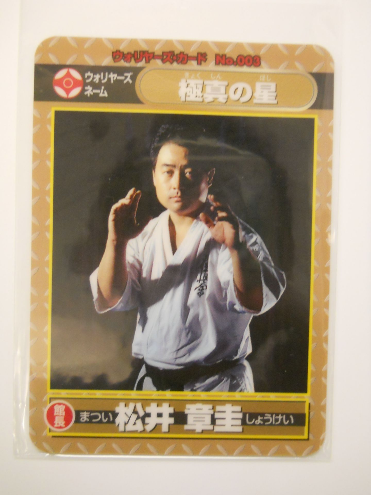 Kyokushin Warriors Boys and Girls KARATE  Class kids3