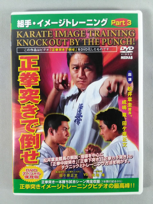 Kumite / Image Training Part3 Defeat with a Straight Fist Thrust