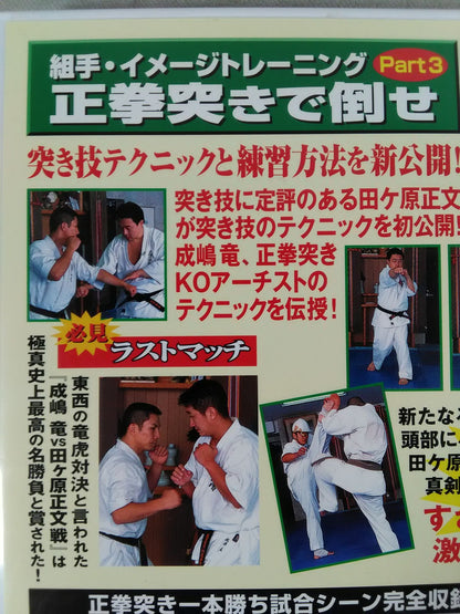 Kumite / Image Training Part3 Defeat with a Straight Fist Thrust