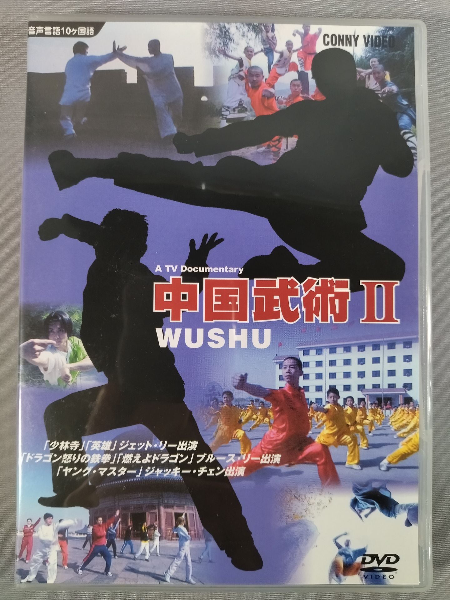 中国武術2 WUSHU