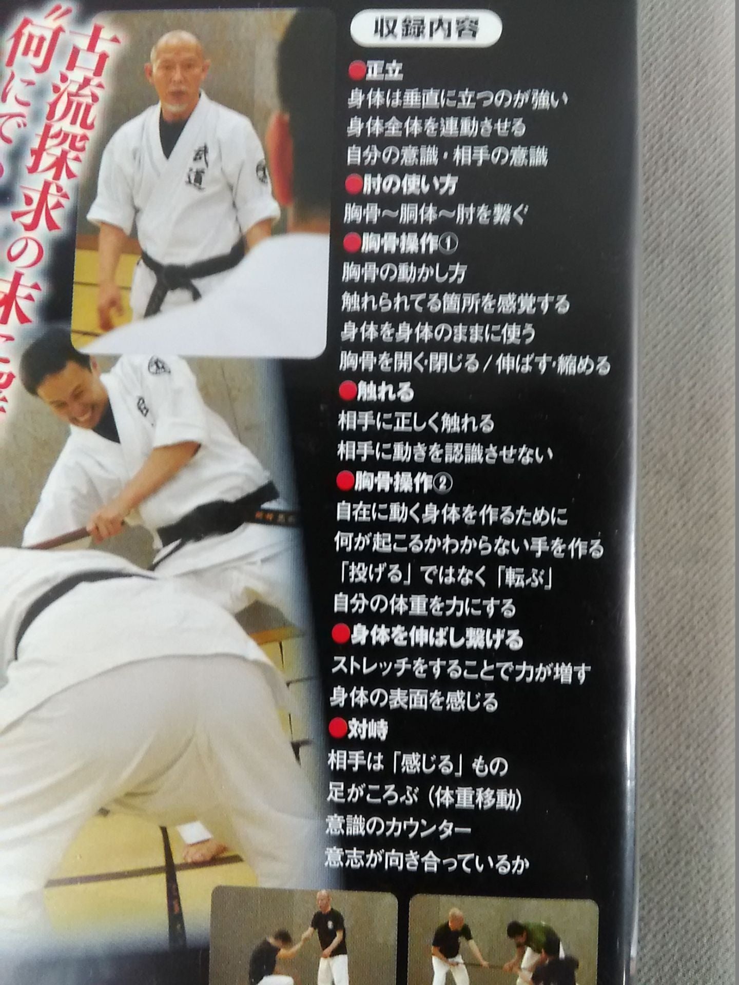 The sternum leads the body to another dimension Martial arts solution Akira Hino