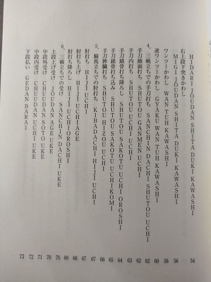 【DVD付】カラテ革命家｢浜井識安｣極真新理論