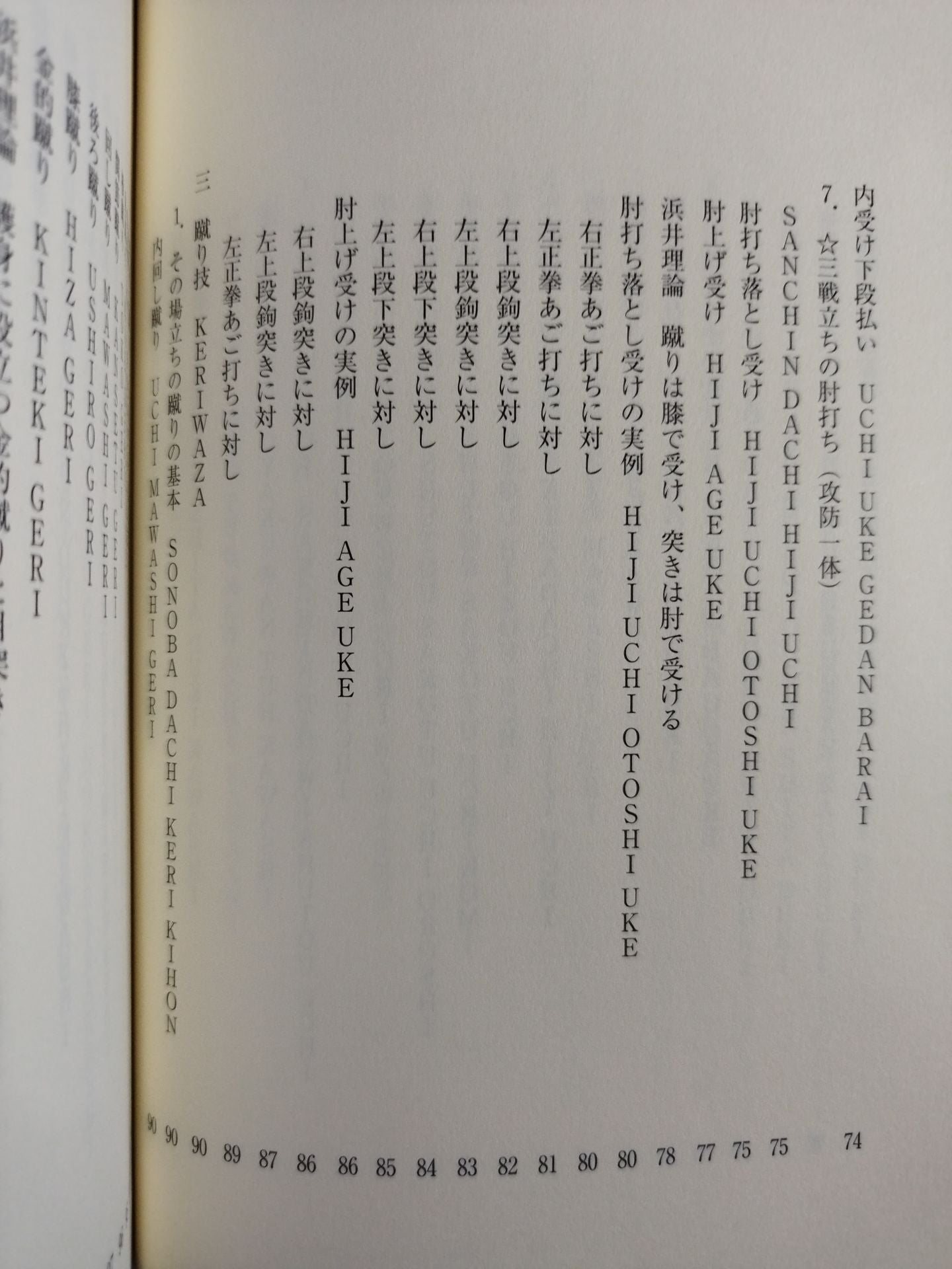 【DVD付】カラテ革命家｢浜井識安｣極真新理論