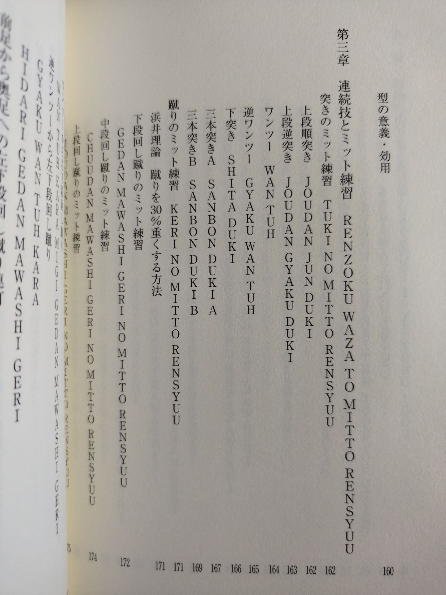 【DVD付】カラテ革命家｢浜井識安｣極真新理論