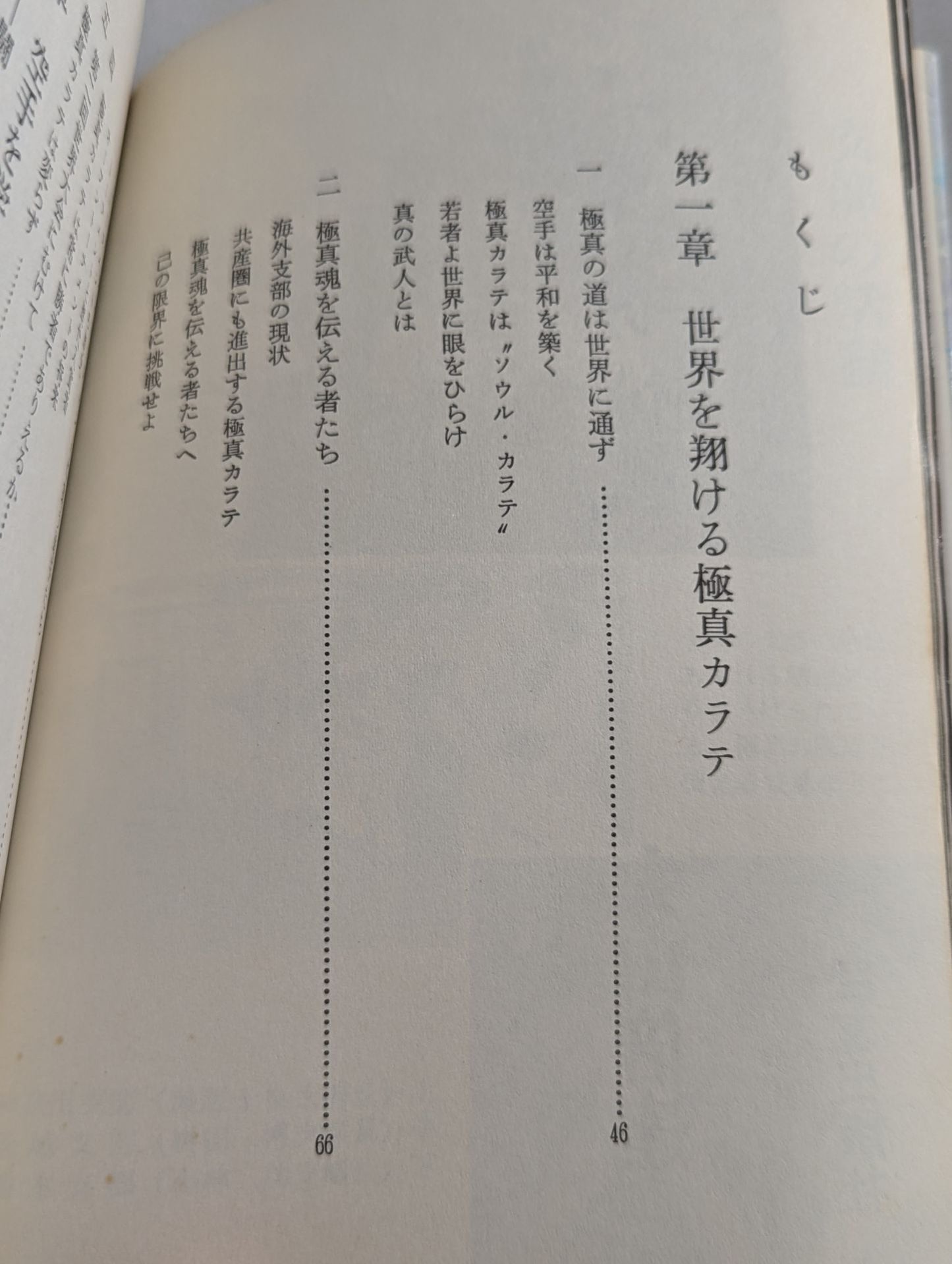 【Expansion and Revision】Challenging the Limits This is the strongest KARATE  on earth! !!