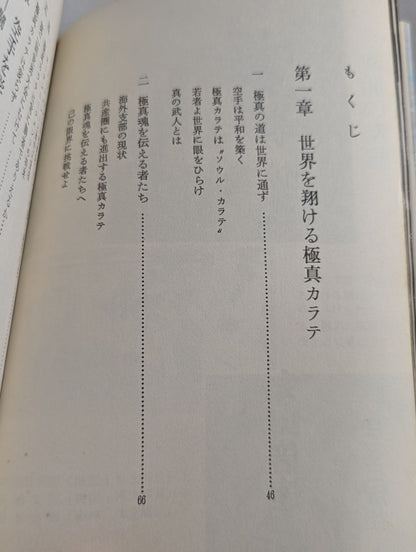 【Expansion and Revision】Challenging the Limits This is the strongest KARATE  on earth! !!