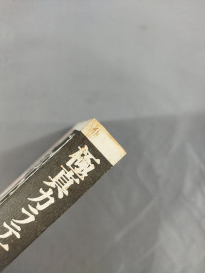 極真カラテ二七人の侍
