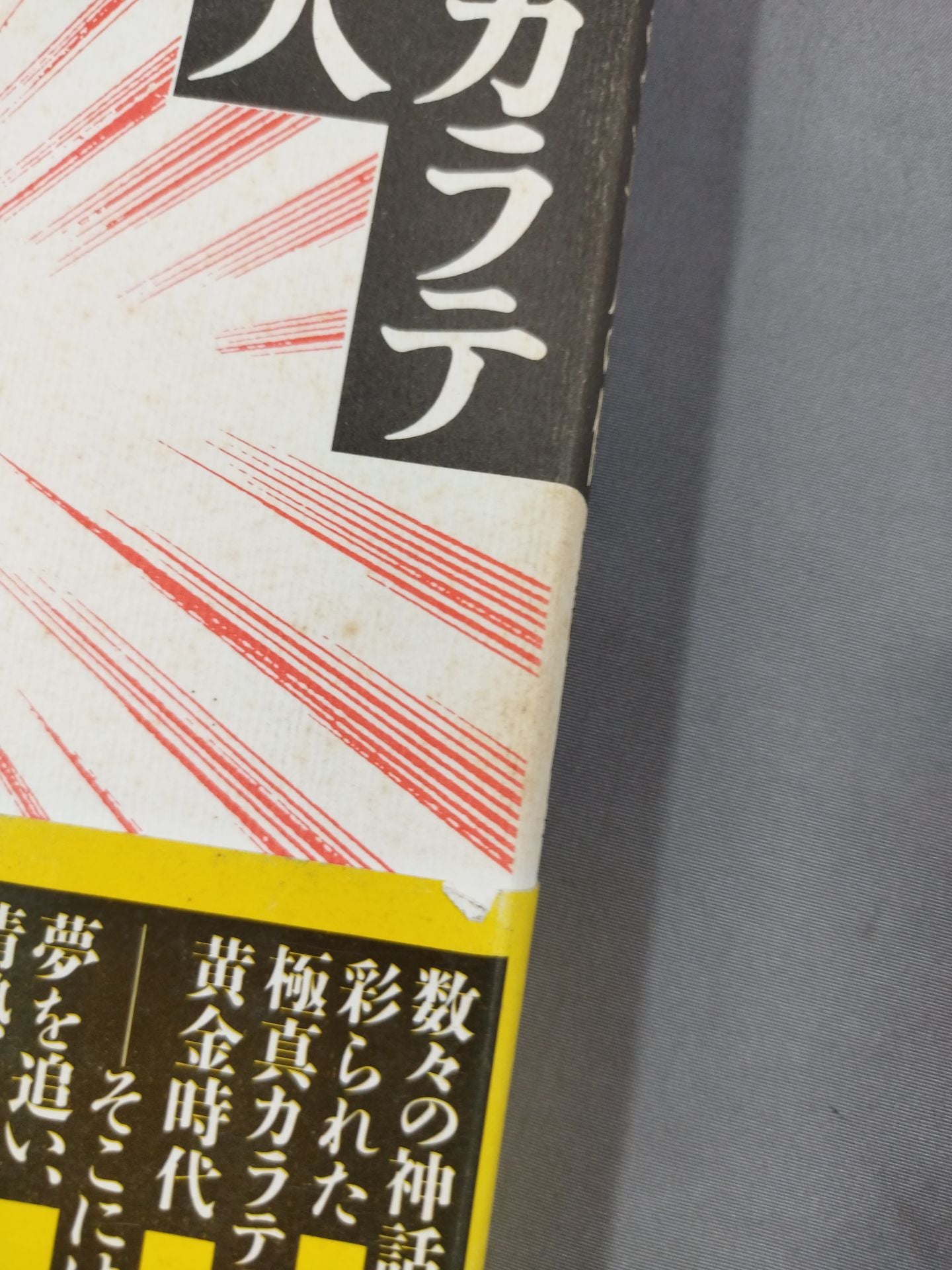 極真カラテ二七人の侍