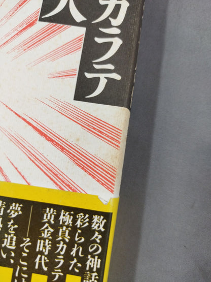 極真カラテ二七人の侍