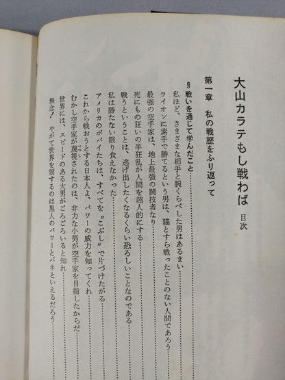 大山カラテもし戦わば