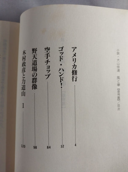 小説・大山倍達 風と拳 雄飛篇