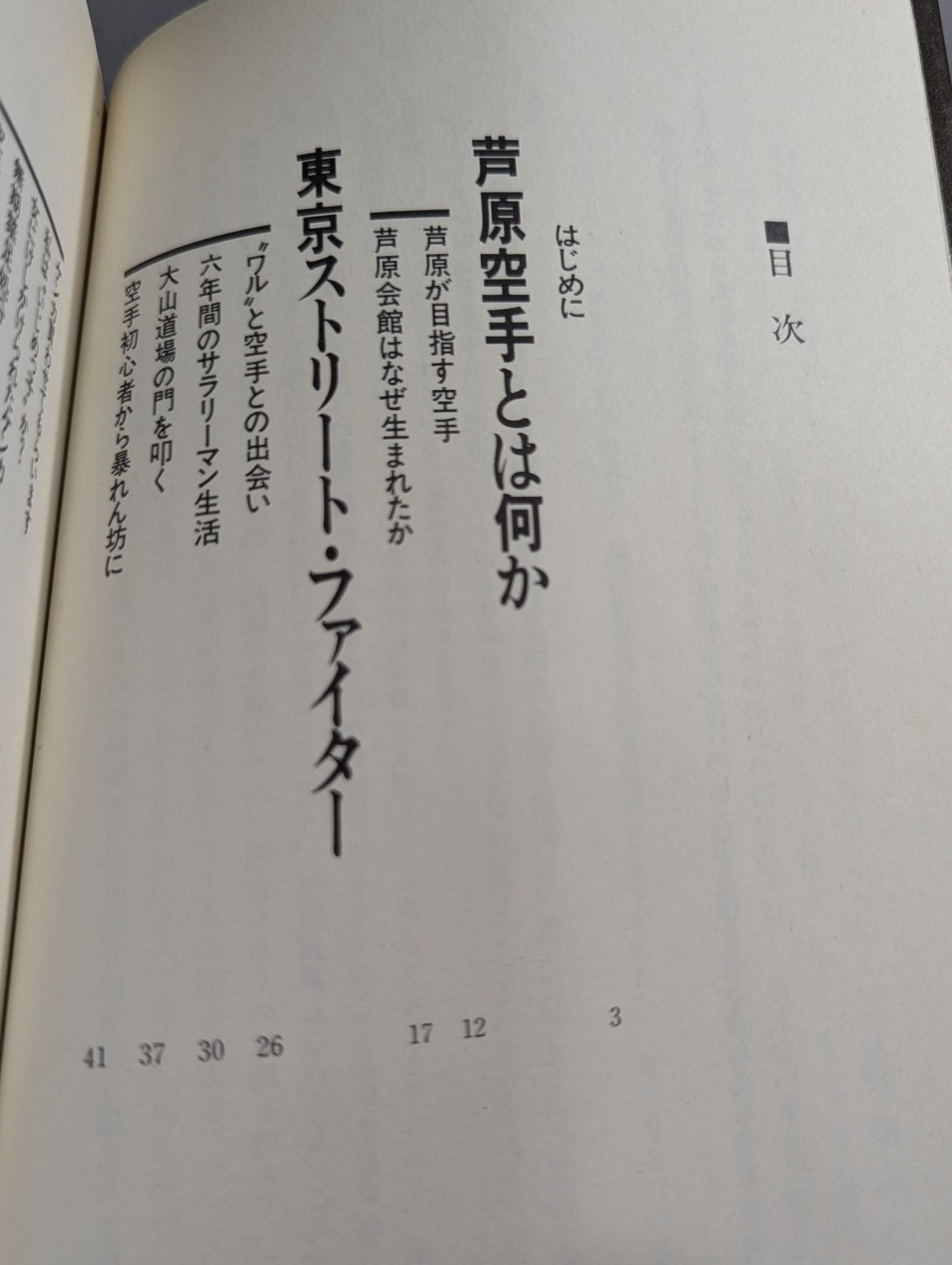 空手に燃え空手に生きる ケンカ十段のサバキ人生