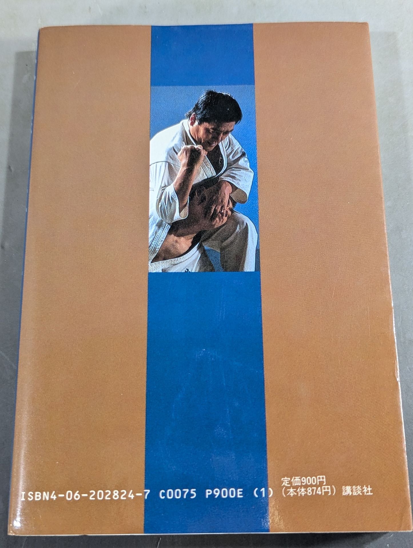 空手に燃え空手に生きる ケンカ十段のサバキ人生