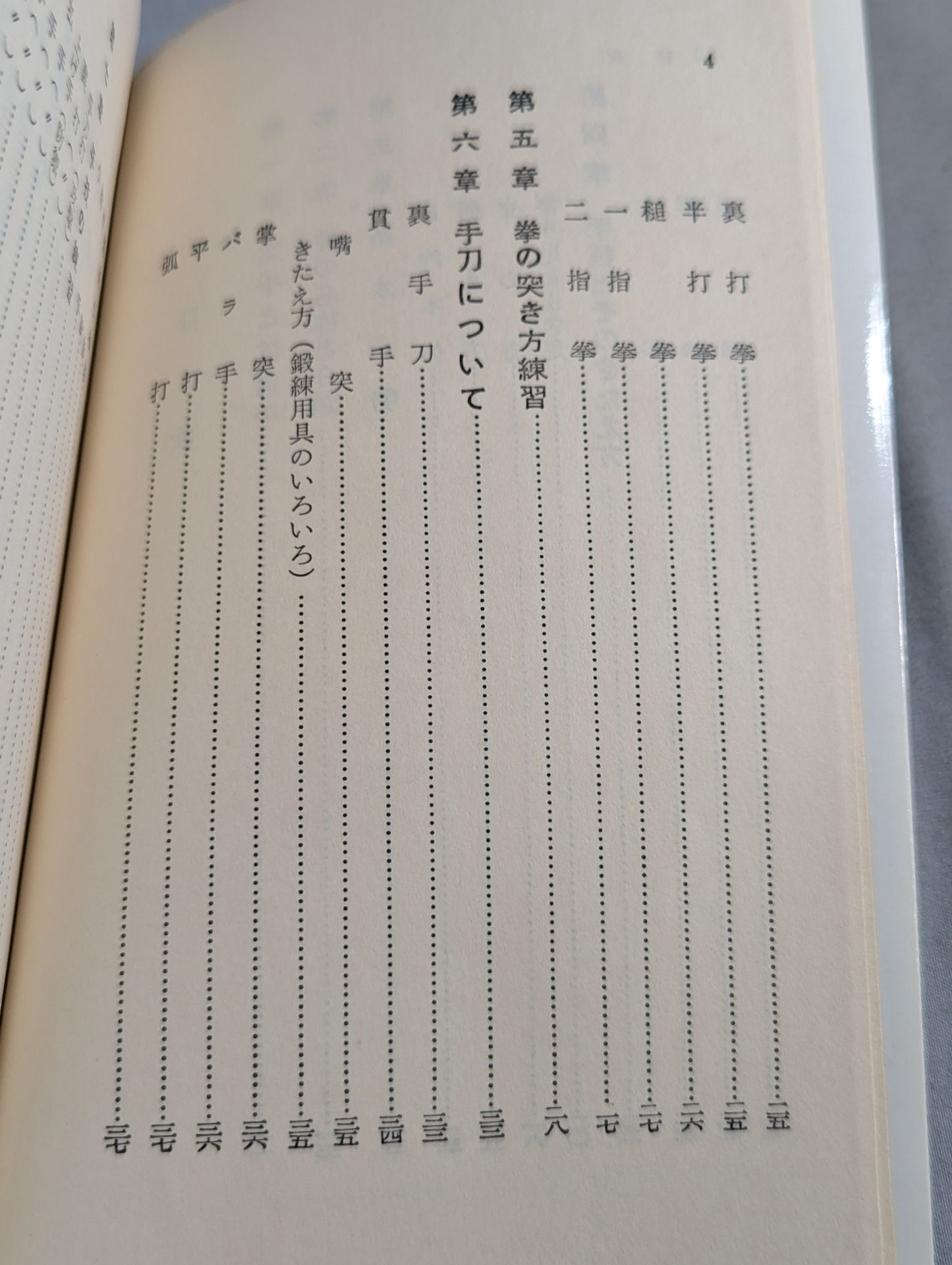 空手早わかり スポーツ新書