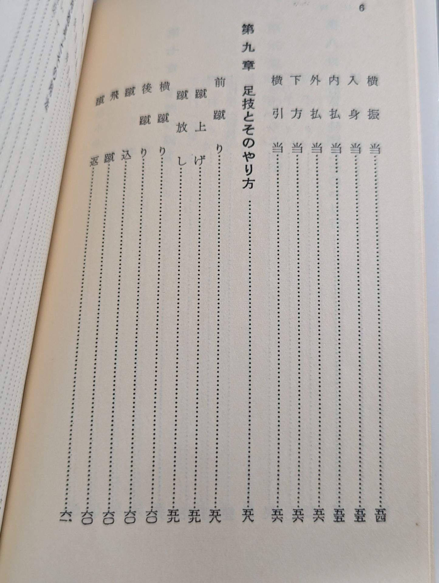 空手早わかり スポーツ新書