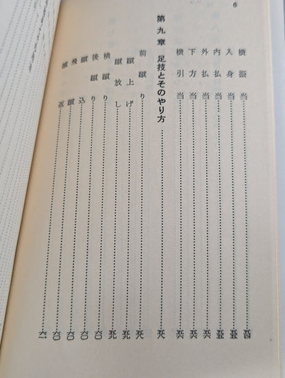 空手早わかり スポーツ新書