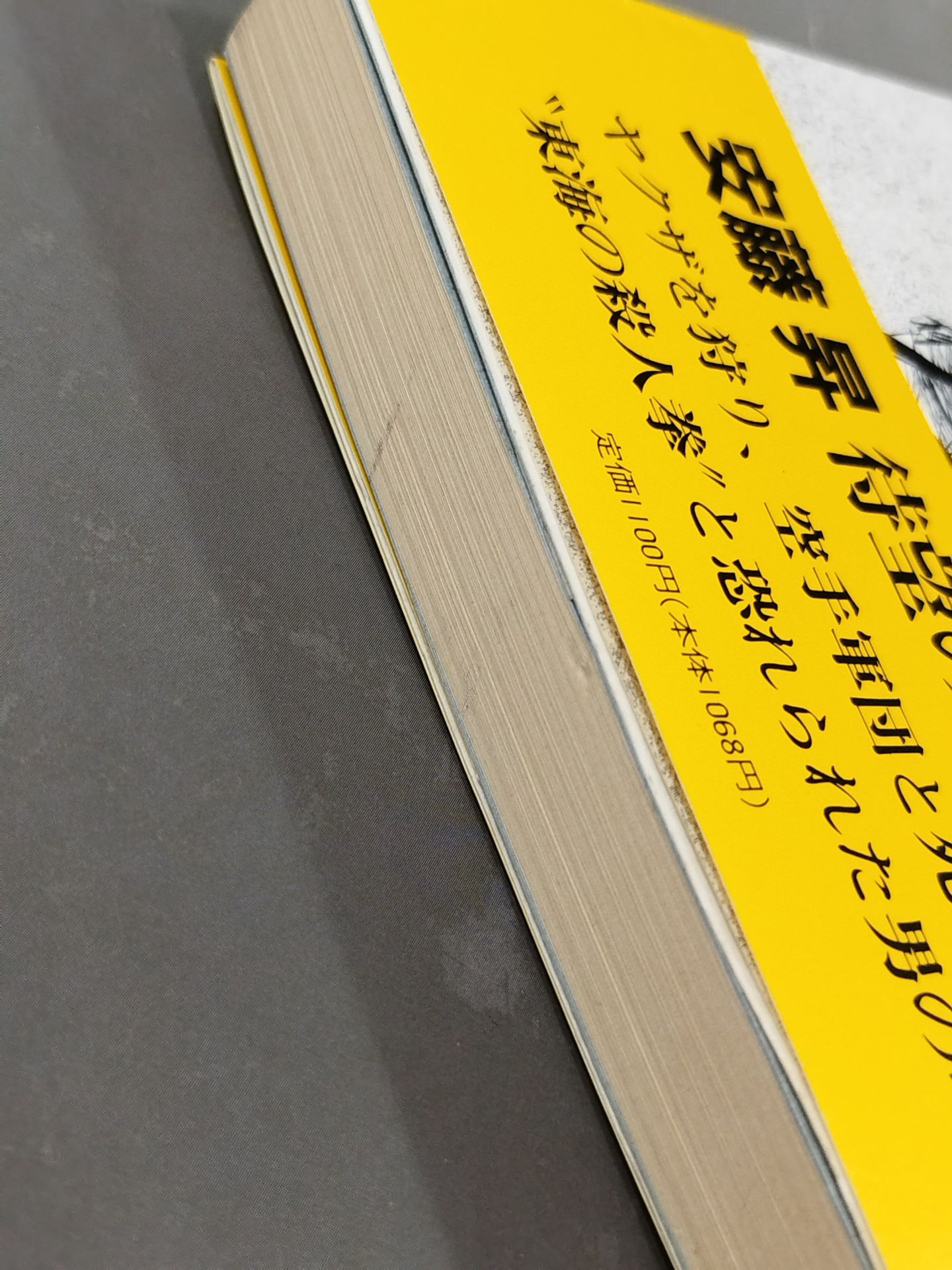 Ambition Kenka KARATE "Kansui Ryu" Soke, an autobiographical novel by Yukio Mizutani