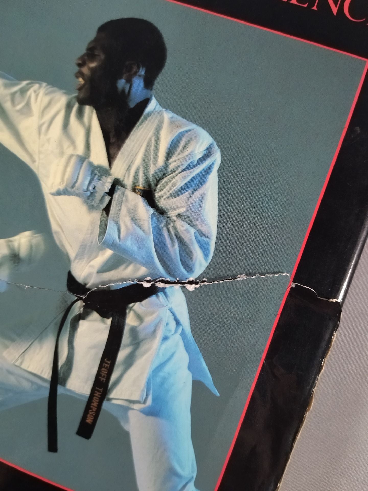 KARATE THE PURSUIT OF EXCELLENCE