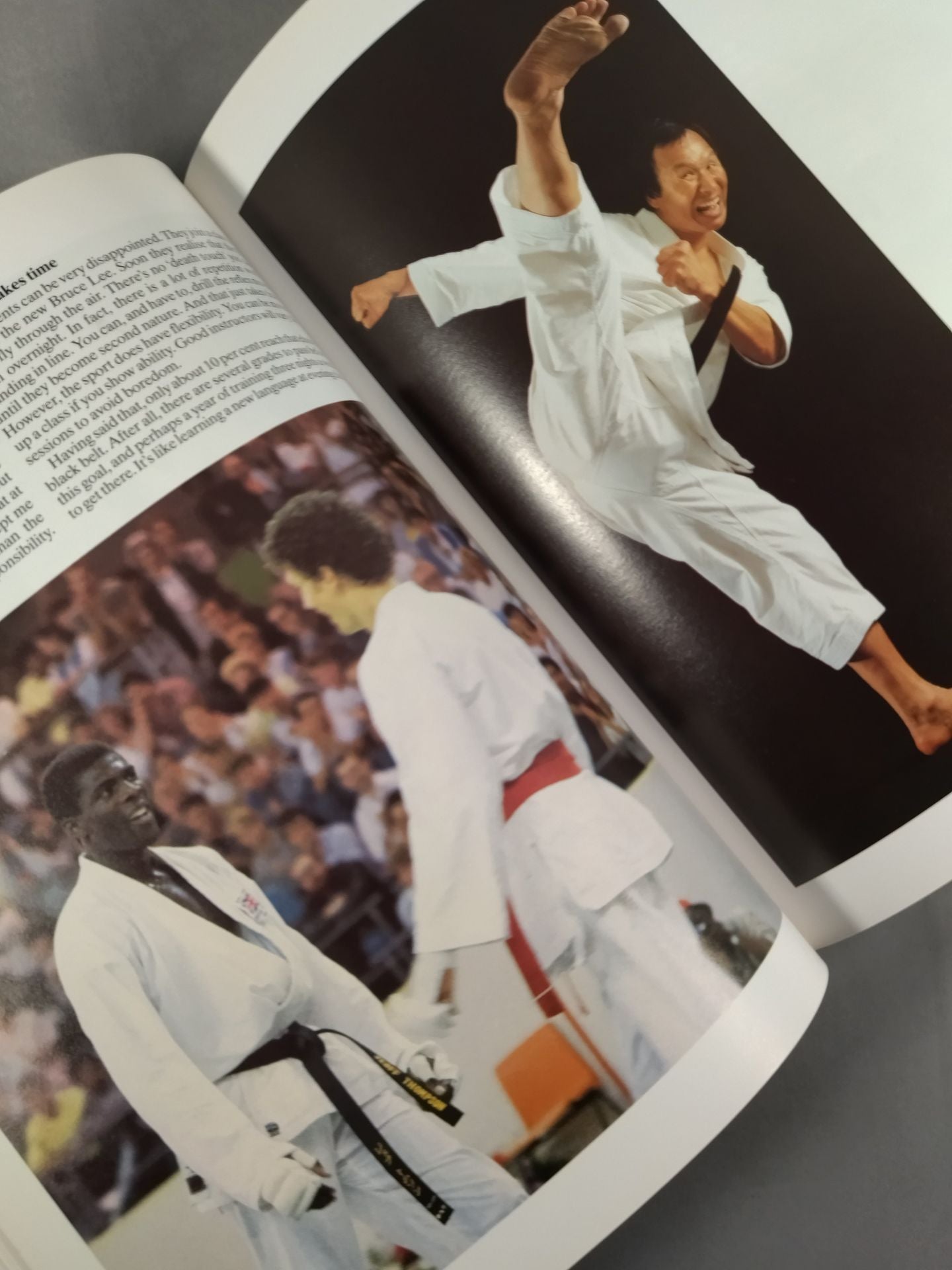 KARATE THE PURSUIT OF EXCELLENCE