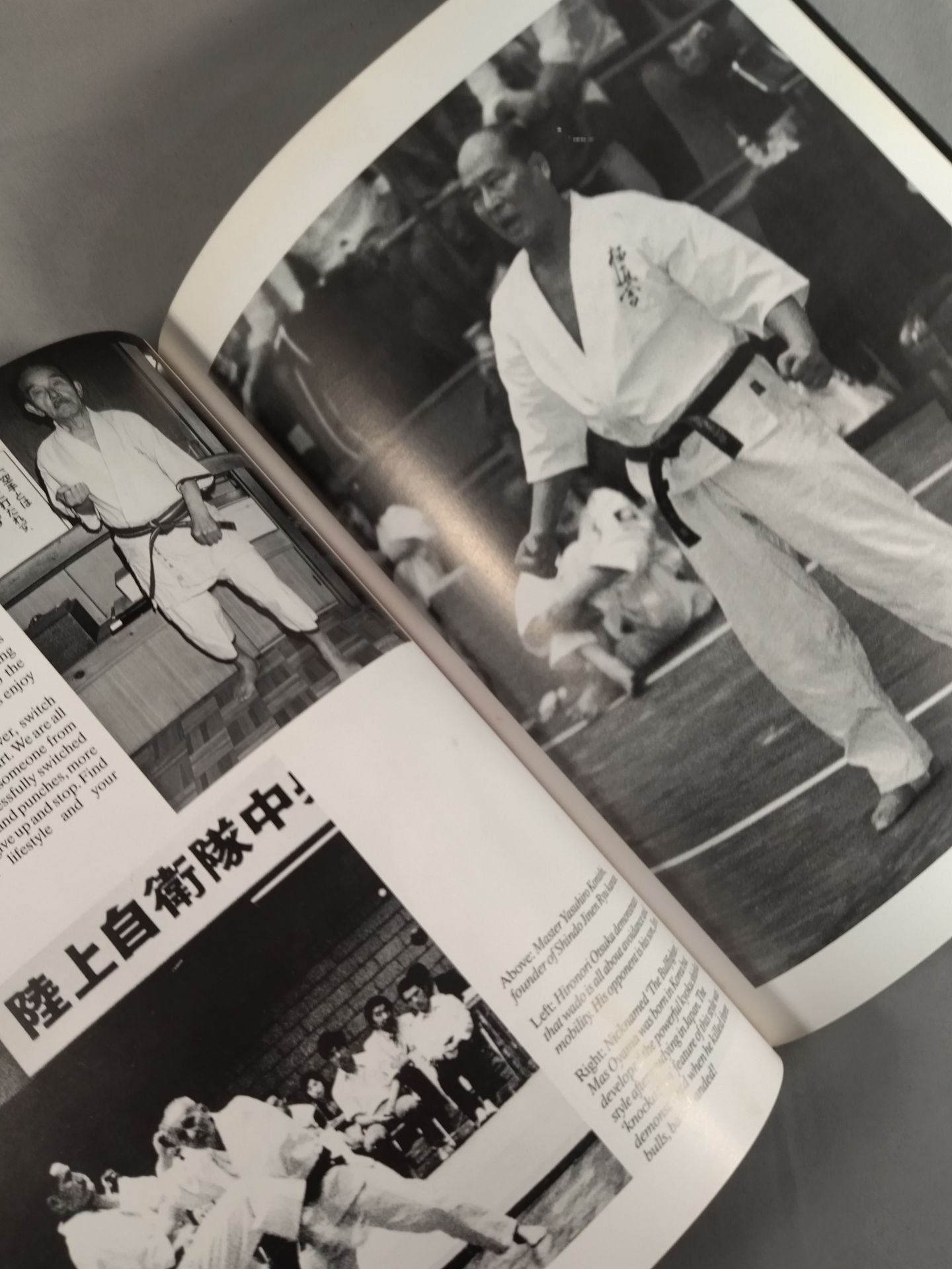 KARATE THE PURSUIT OF EXCELLENCE