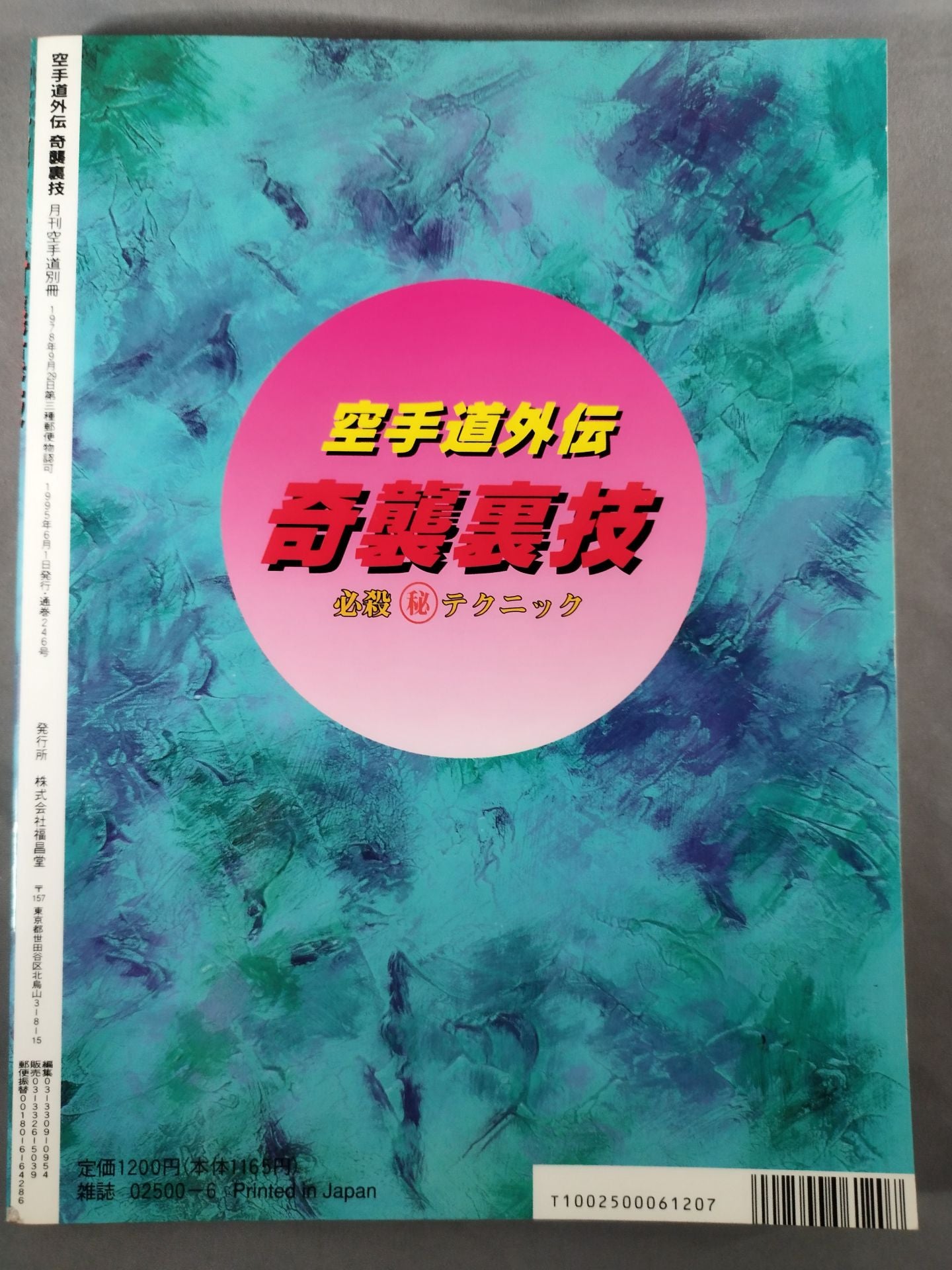空手道外伝 奇襲裏技 必殺秘テクニック