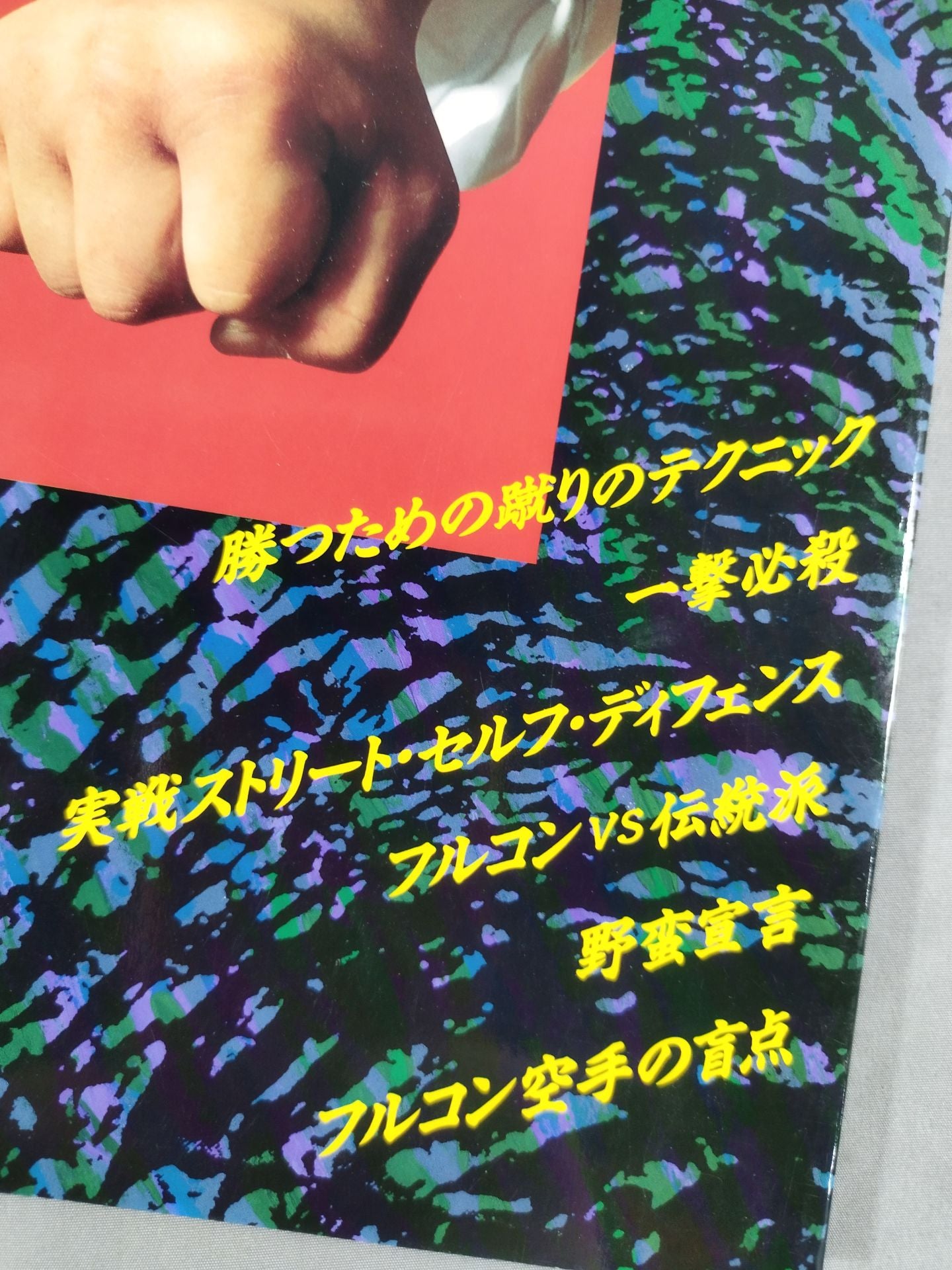 一撃必殺 スポーツ派から実戦指向まであらゆる空手を全公開