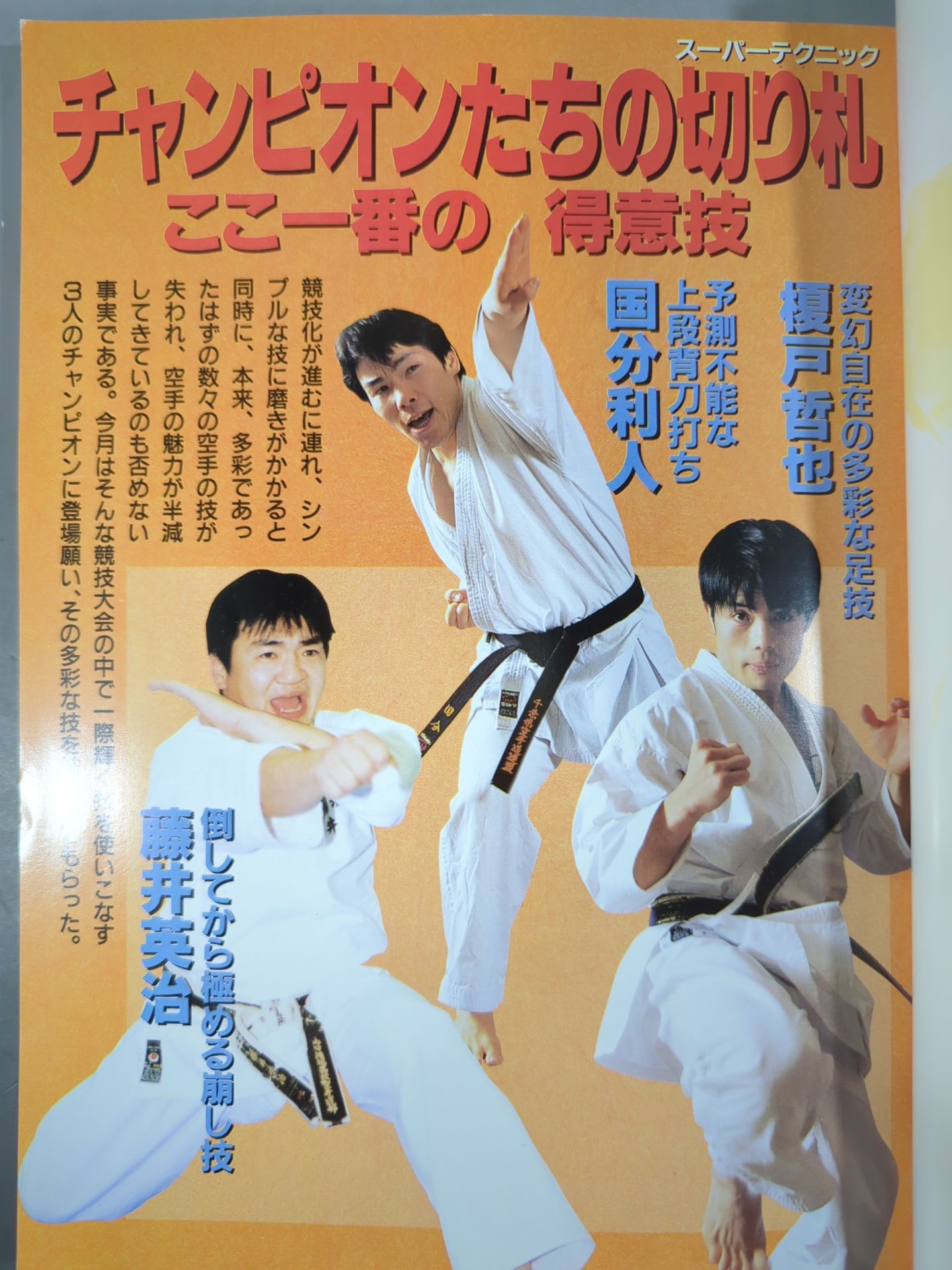 The Champion Fist of the Champion