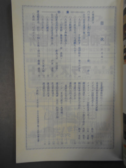 柔道 1993年06月号