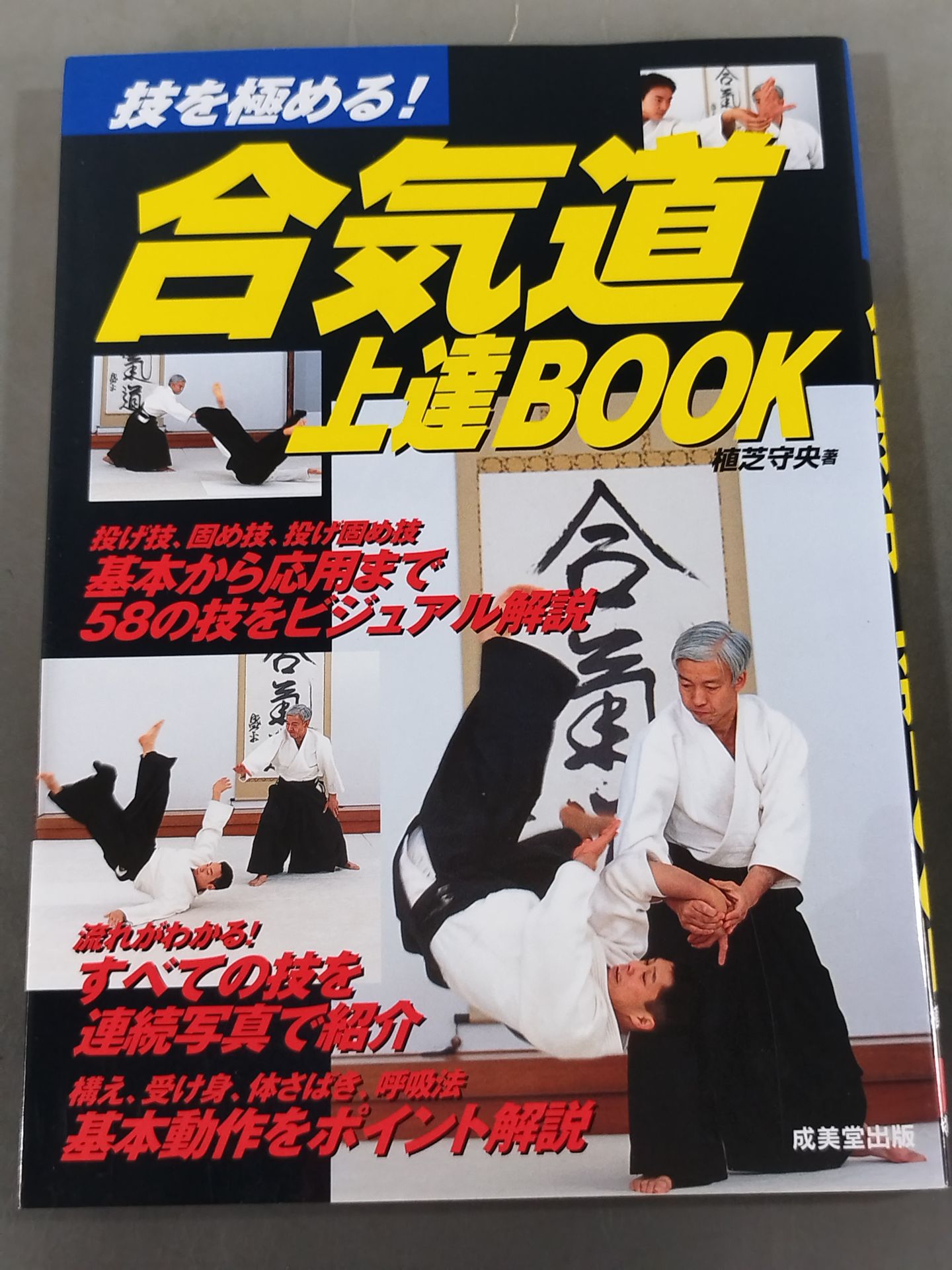 Master your skills! Aikido Improvement BOOK