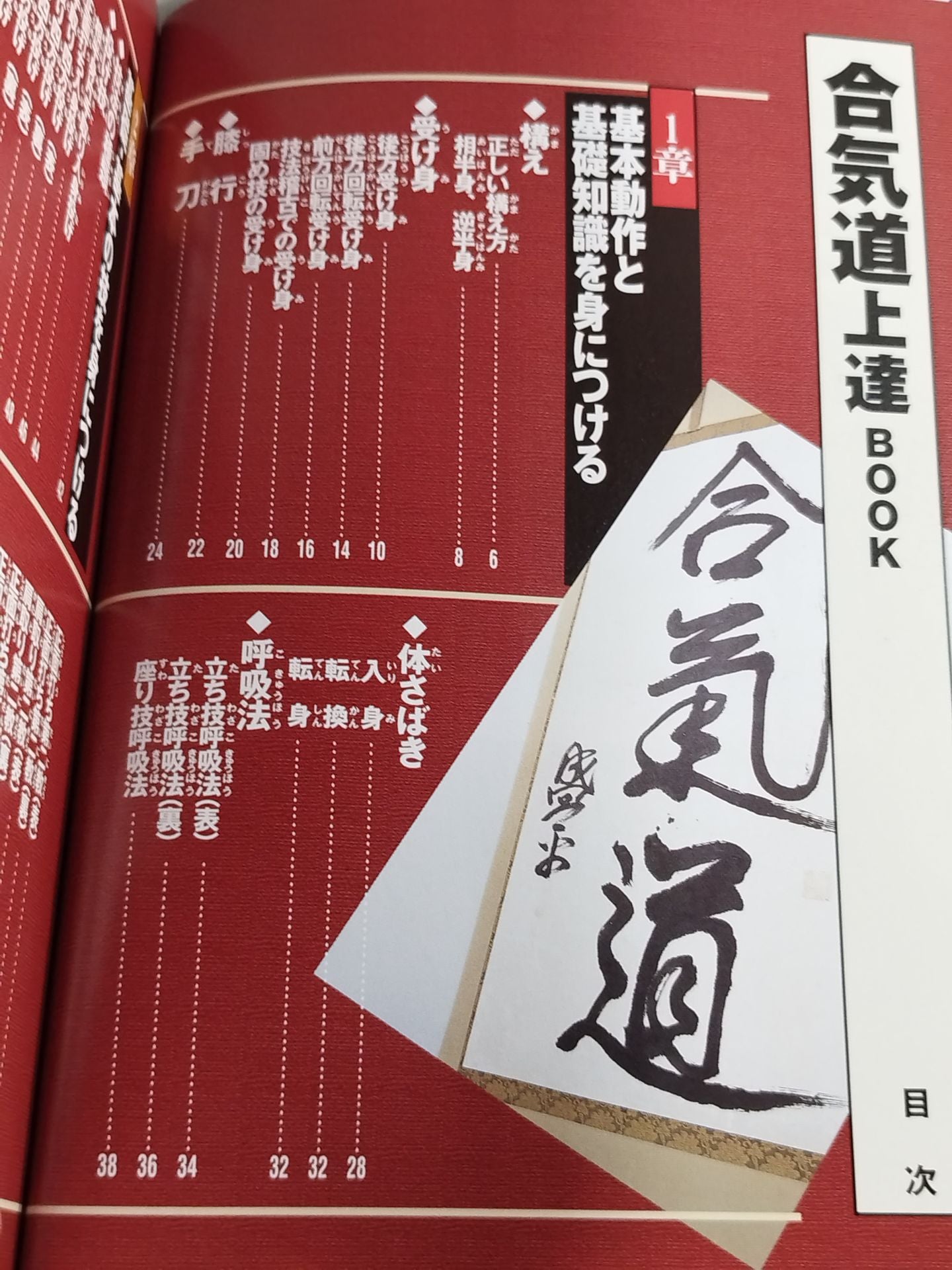 Master your skills! Aikido Improvement BOOK