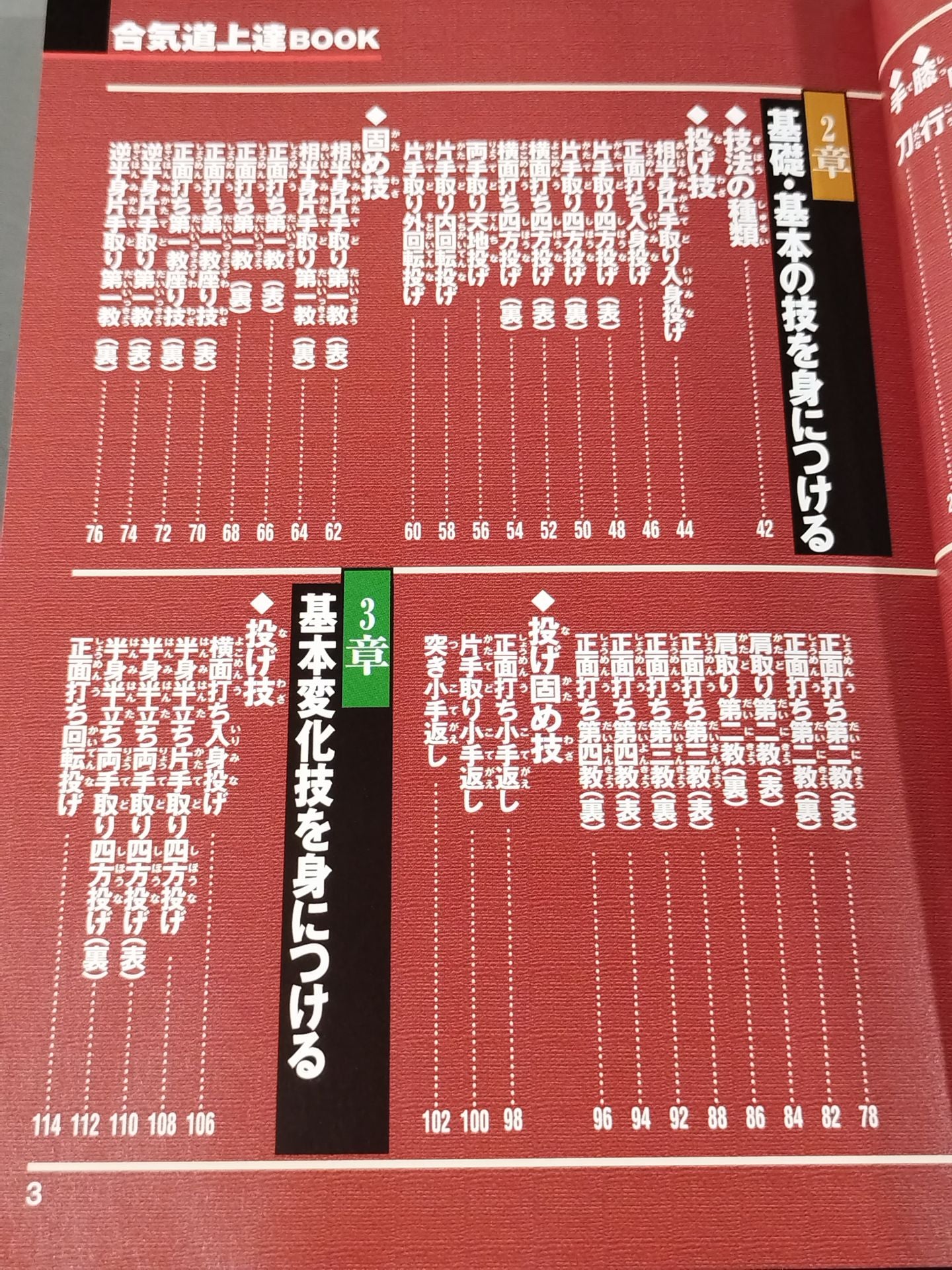 Master your skills! Aikido Improvement BOOK