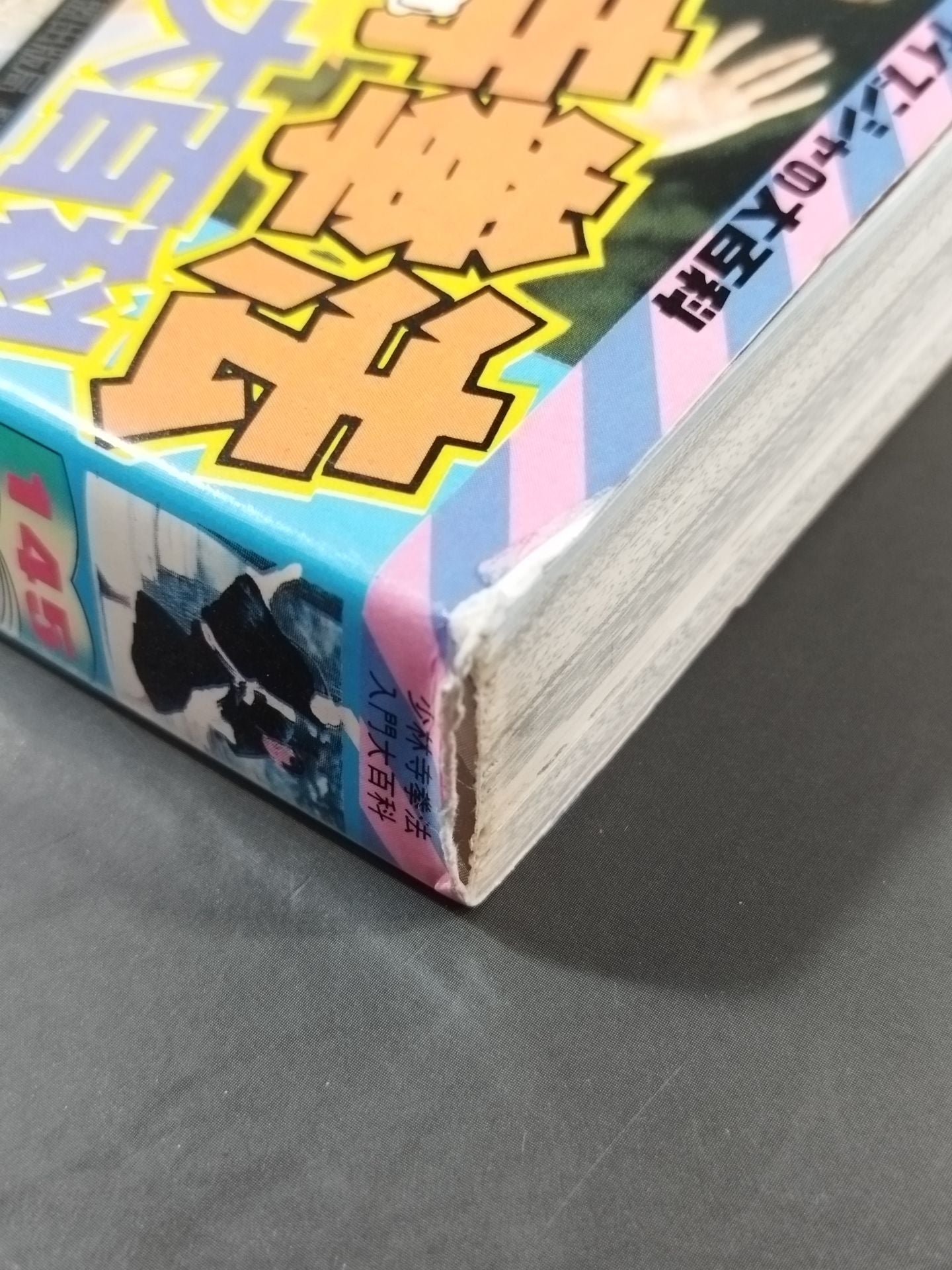 少林寺拳法入門大百科