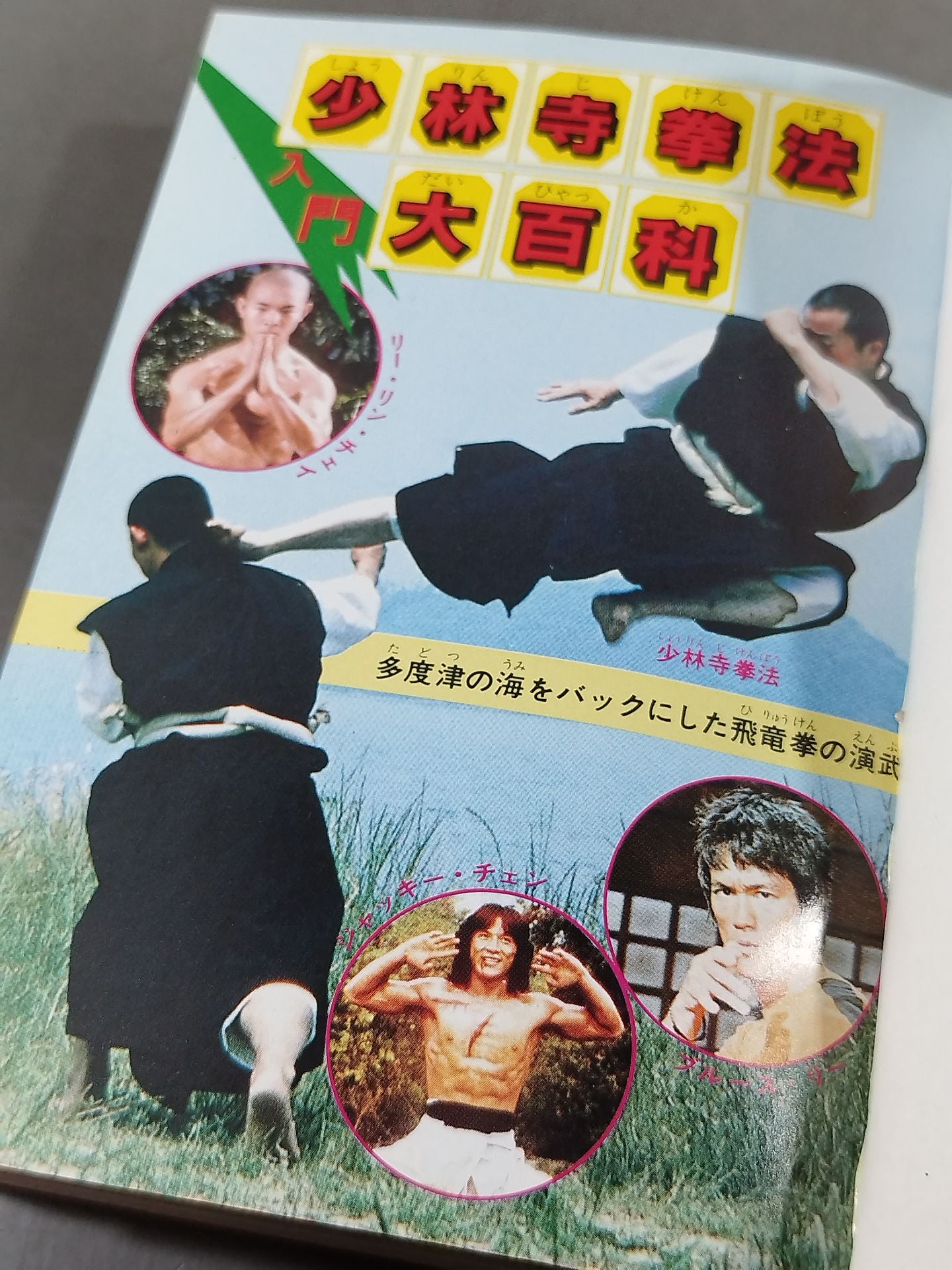 少林寺拳法入門大百科