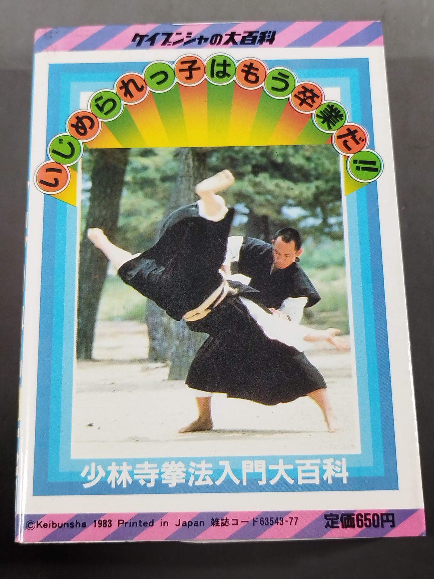 少林寺拳法入門大百科