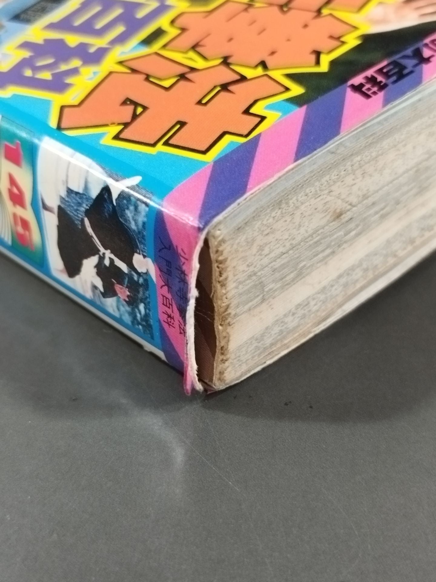 少林寺拳法入門大百科