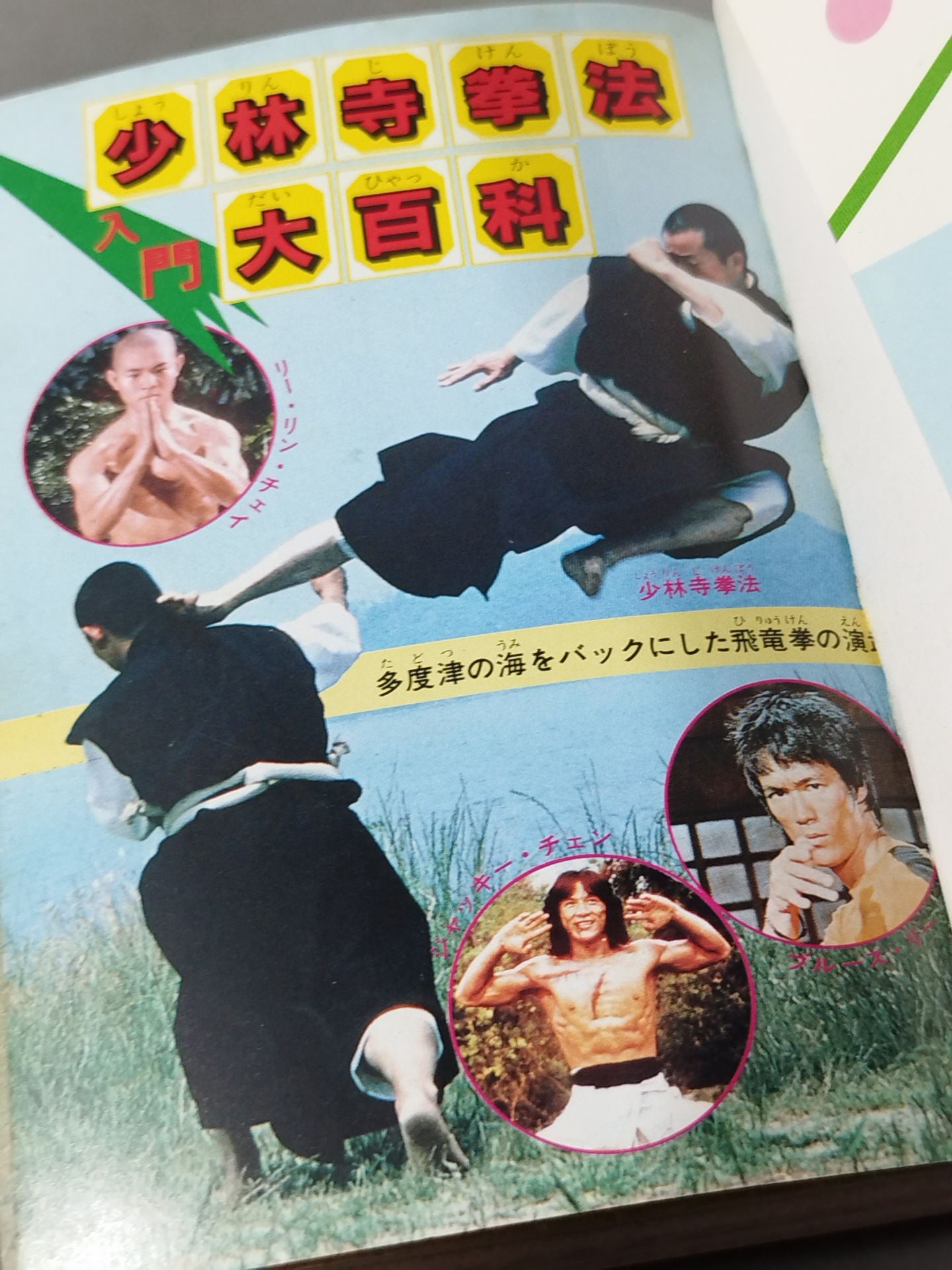 少林寺拳法入門大百科