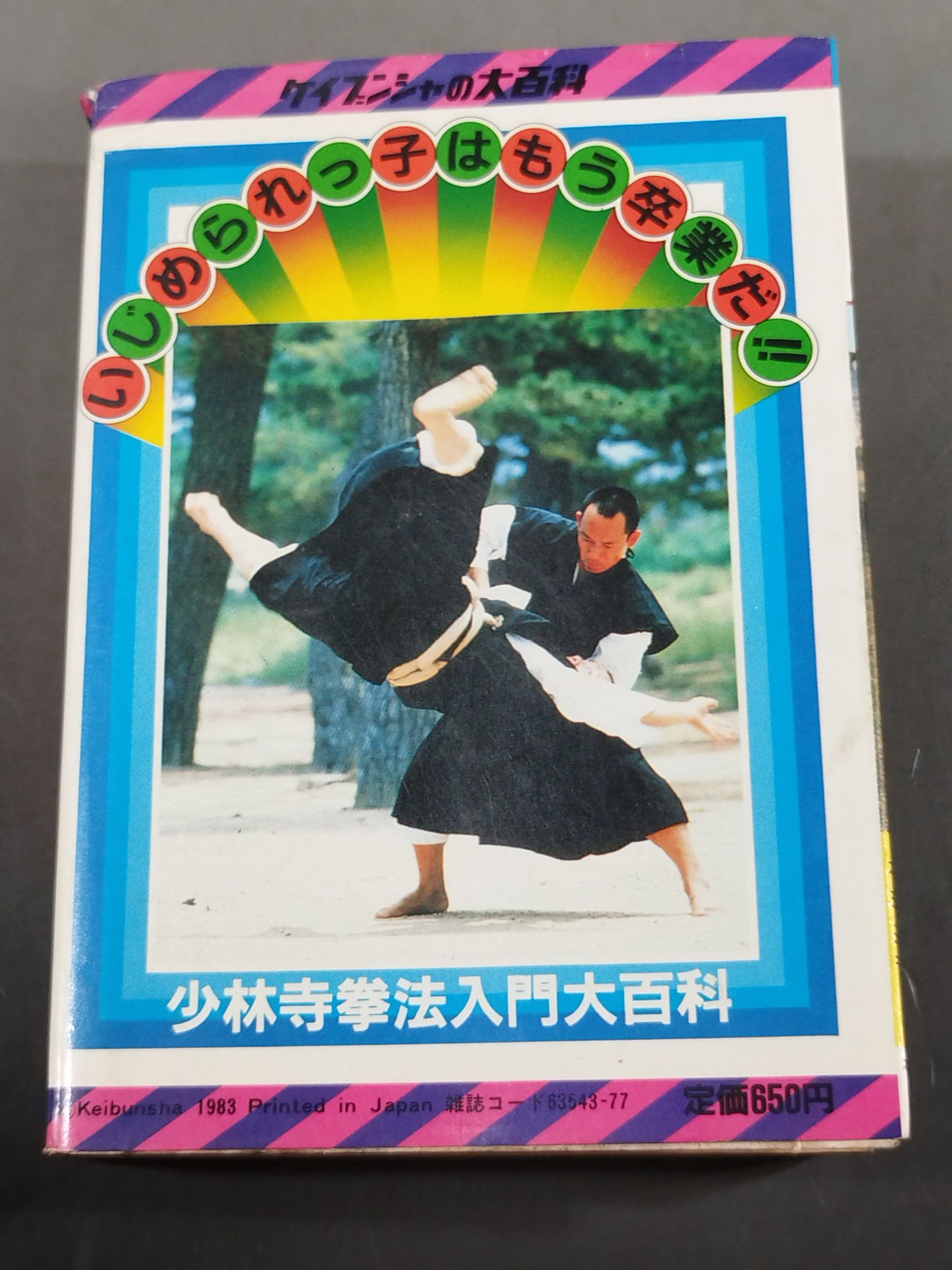少林寺拳法入門大百科
