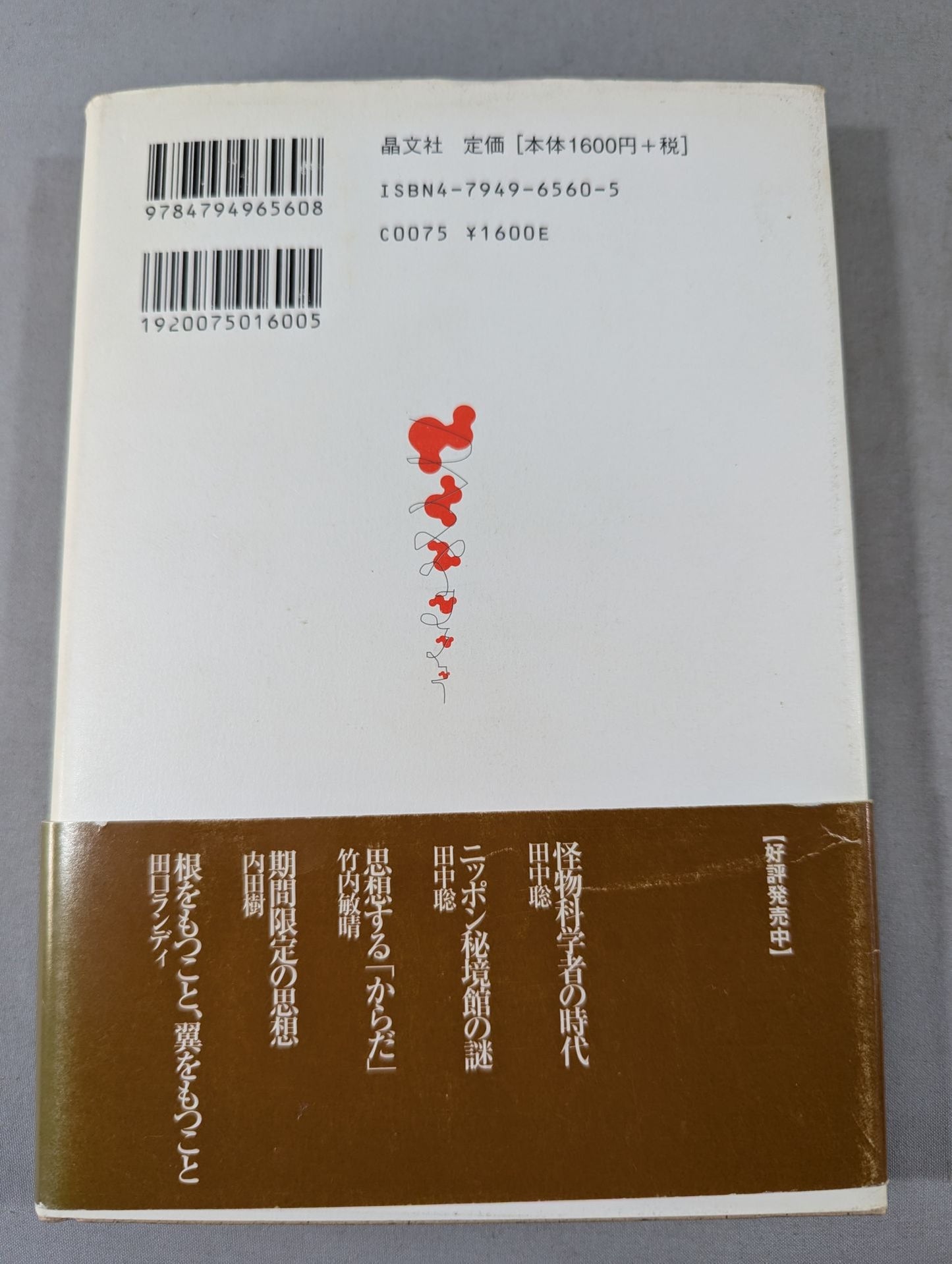 不安定だから強い 武術家・甲野善紀の世界