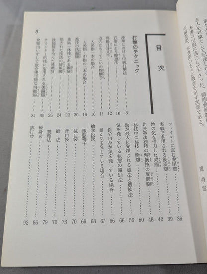 拳法精髄 ハイレベルテクニックを学ぶ