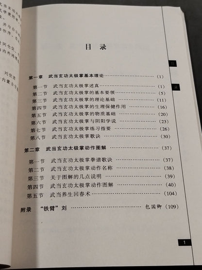 武当玄功太極掌