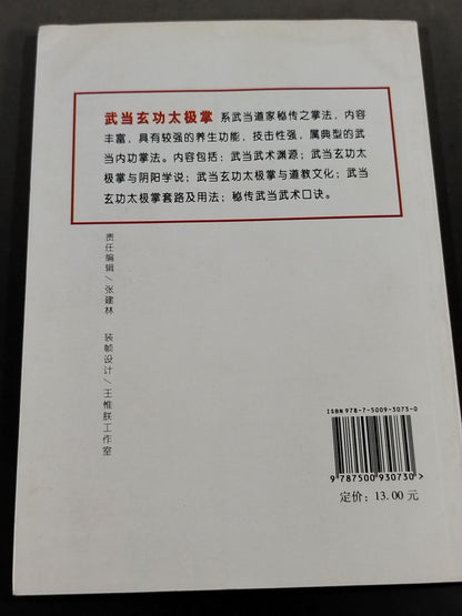 武当玄功太極掌