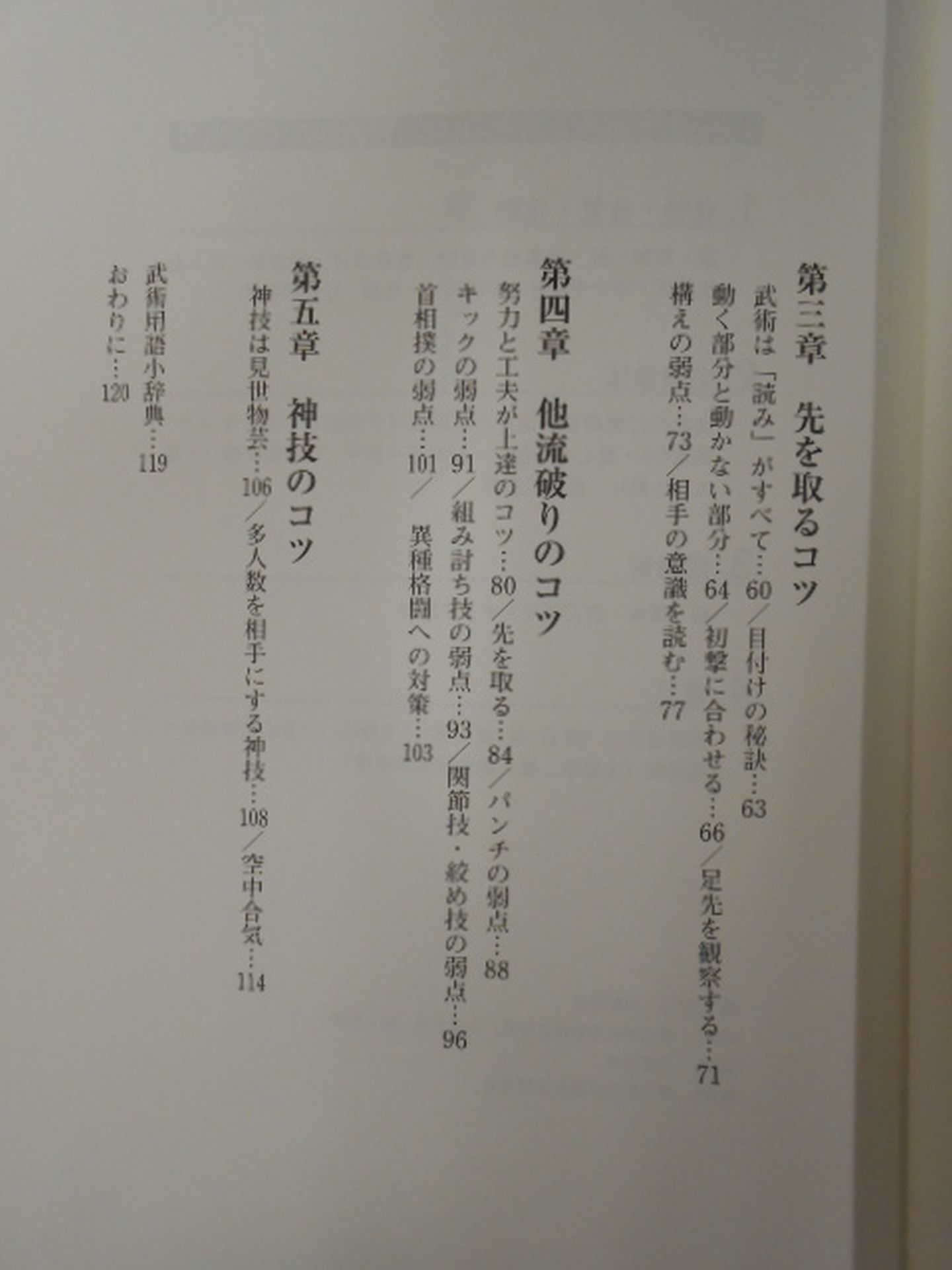 【DVD付】重心力を極める 武術のコツ
