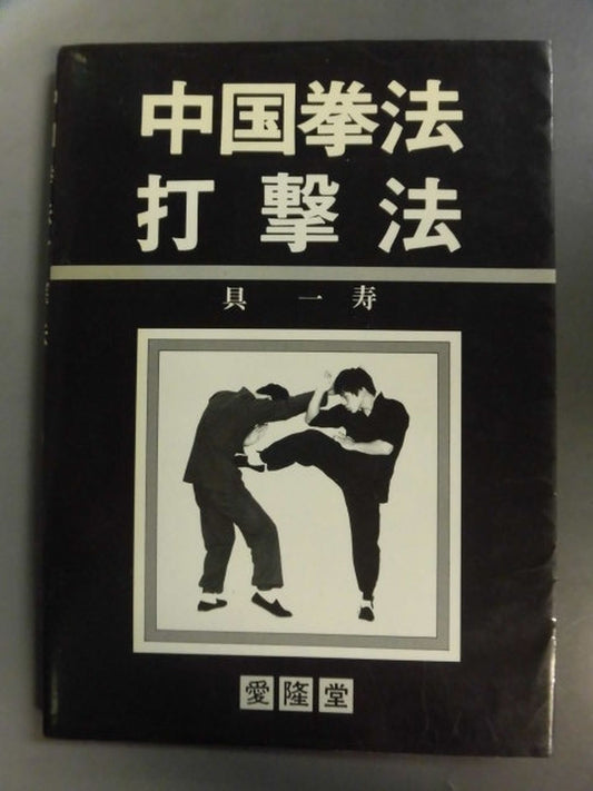 中国拳法 打撃法