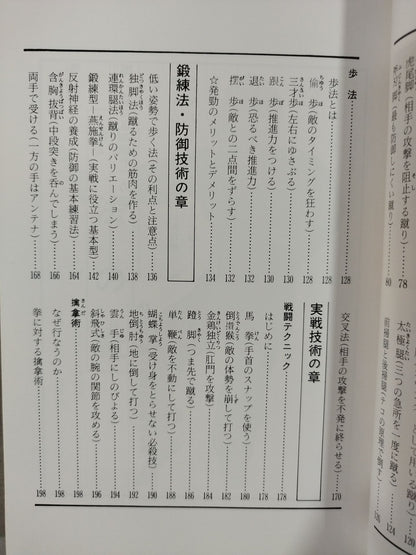 中国拳法戦闘法