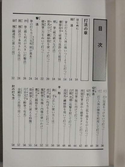 中国拳法戦闘法